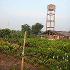 Benin farm